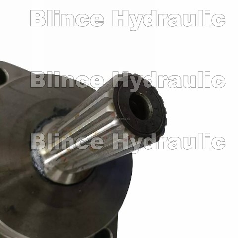 Blince Hydraulic TMT 400 V 11025856 Gear Motor Pump China Wholesale Manufacturer 