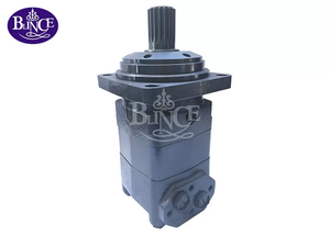 Blince Large Torque Gerotor Hydraulic Motor OMV BMV 630 1000 