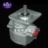 hydraulic gear motor