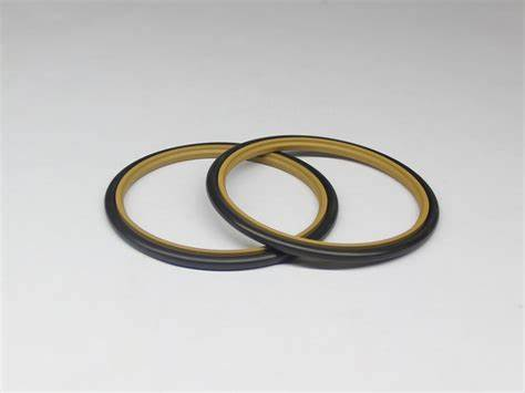 Seals and Seal Rings