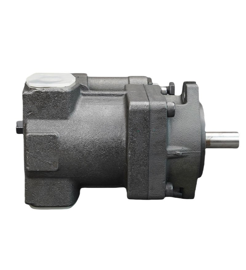 P16-A3-F-R-01 P08-A0-F-R-01 P08-A1-F-R-01 P08-A2-F-R-01 P08-A3-F-R-01 P22-A3-F-R-01 Oil Pump