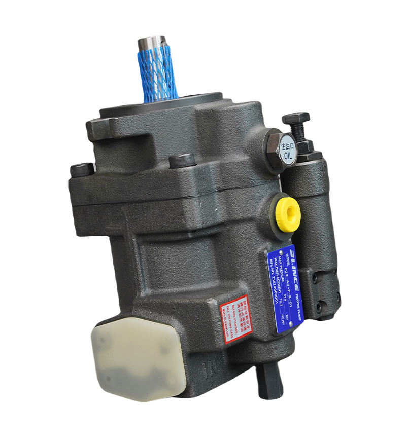 P16-A3-F-R-01 P08-A0-F-R-01 P08-A1-F-R-01 P08-A2-F-R-01 P08-A3-F-R-01 P22-A3-F-R-01 Oil Pump