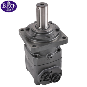 OMT hydraulic motor